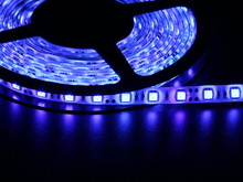 Світлодіодна стрічка 5050 60 LED синя 10.0-12.5 Lm/LED вологозахищена IP65