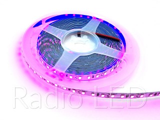Світлодіодна стрічка 2835 120 LED рожева IP20