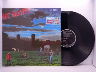 Mr. Mister – Welcome To The Real World LP 12