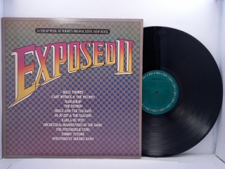 Various – Exposed II: A Cheap Peek At Today's Provocative New Rock 2LP 12"